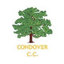 Condover CC Womens Softball 10 A Side