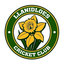 Llanidloes CC 2nd XI